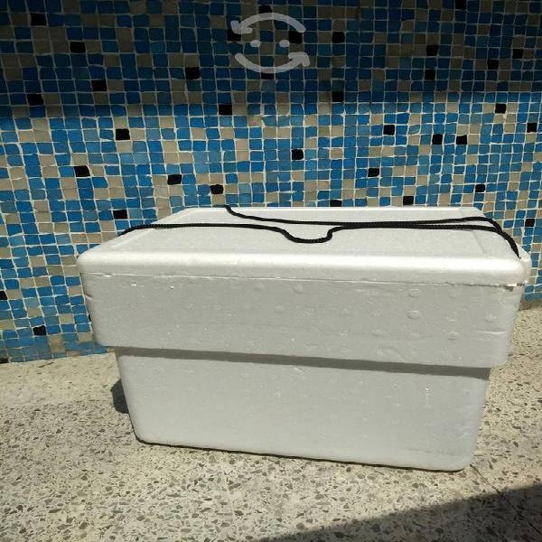 Cajas térmicas EPS para alimentos bebidas y productos fríos