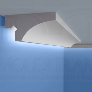IMG 008