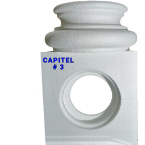 CAPITEL 8