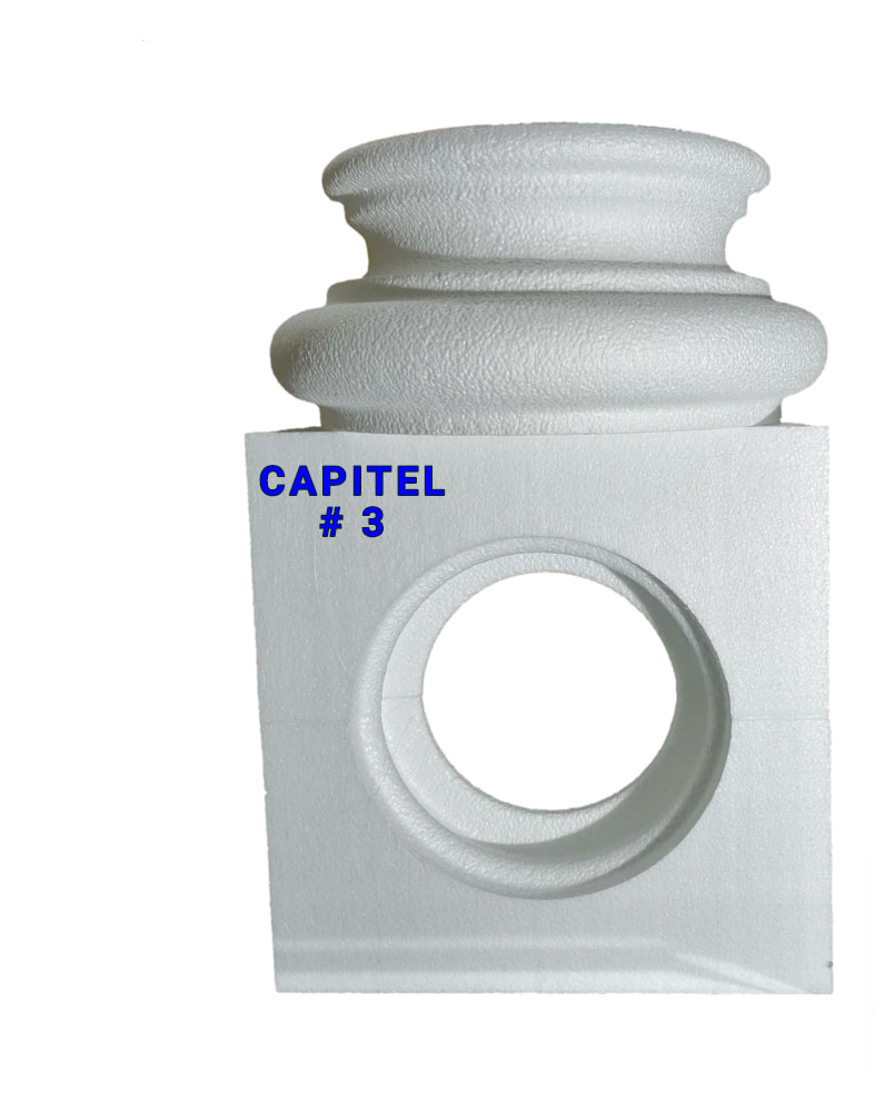 CAPITEL 8